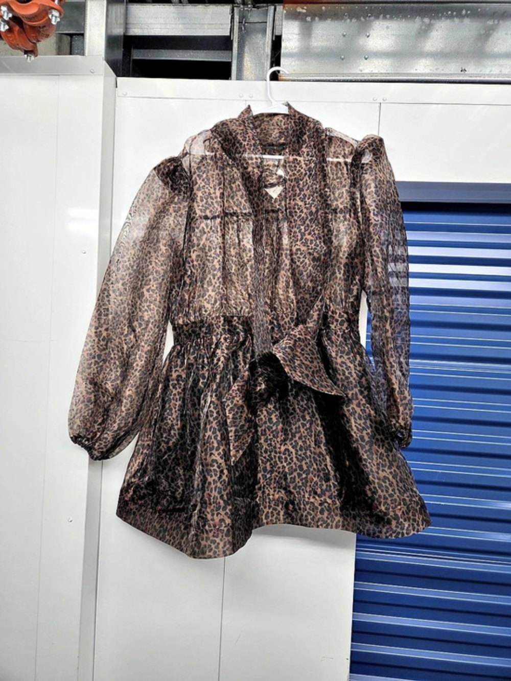 Organza Mini Dress